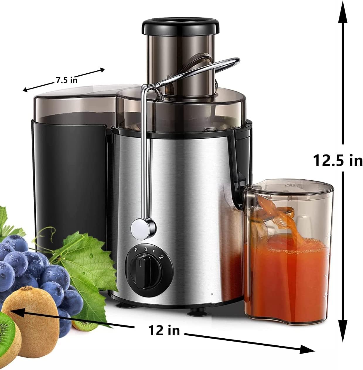 EXTRACTOR DE JUGO VISTA 800W